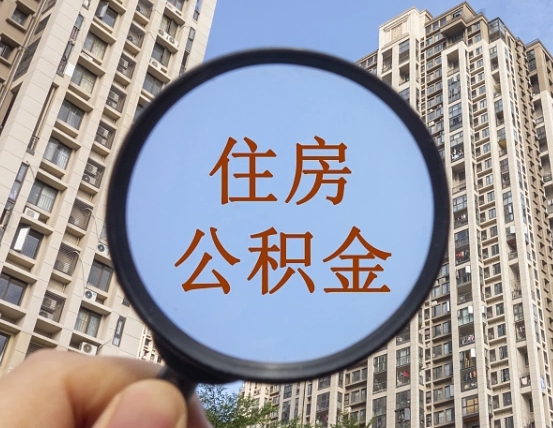 龙海退休后查不到公积金明细了吗（退休后公积金查询不到原因）